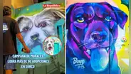 Iniciativa de ONG Buena causa logró más de 90 adopciones de mascotas en Surco con campaña de murales