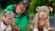La ciudad de Estados Unidos que busca eliminar prohibición de pitbulls: “No todas las razas son agresivas”