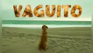 ‘Vaguito’: estreno, reparto y todo sobre el filme inspirado en el 'Hachiko peruano'