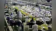 Midagri busca restituir beneficios tributarios a las agroexportadoras