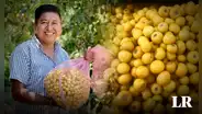 La maravillosa fruta con alta dosis de colágeno: evita el envejecimiento prematuro y desaparece las arrugas