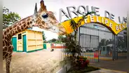 Parque de las Leyendas ofrece programas de voluntariado: conoce cuáles son los requisitos y cómo postular