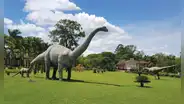 Un geoparque en Sudamérica alberga 10.000 fósiles de dinosaurios y entró a una prestigiosa lista de Unesco