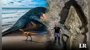 Descubren fósil del reptil marino más grande del mundo en Inglaterra gracias a niña de 11 años