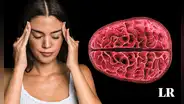 Por primera vez, científicos revelan cambios estructurales en el cerebro de las mujeres durante la menstruación