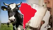Descubre cuál es el país de Sudamérica que se ubica en el top 5 mundial en consumo de leche