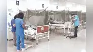 Dengue: cifra de muertos se eleva a 146 y casos a 155.000 a nivel nacional