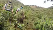 Presunto feminicidio en Piura: hallan cadáver de mujer cerca de un abismo