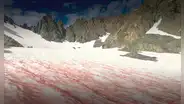 Conoce la nieve de sandía, un raro fenómeno que tiñe de rosado las montañas de Estados Unidos