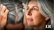 ¡Adiós a las canas! Estudio científico revela cómo revertir el color blanco en el cabello, descubre la solución