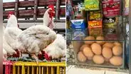 Precio del pollo baja, pero aumenta el costo del huevo: ¿cuánto está el kilo?