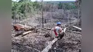 El 90% de las actividades económicas en la Amazonía son ilegales