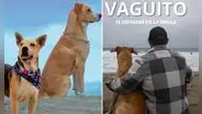 ¿De qué trataría 'Vaguito 2'?: director Alex Hidalgo adelanta vibrante trama de la continuación