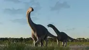 Un nuevo DINOSAURIO fue descubierto en Sudamérica: vivió hace más de 65 millones de años y pesaba 7 toneladas