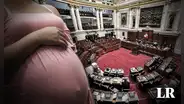 Congreso analiza adopción desde el vientre en casos de embarazos ‘no planeados’ ¿Proyecto de ley es viable?