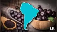 La fruta sudamericana que crece en la Amazonia y está conquistando el mercado internacional