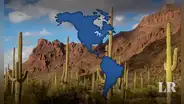 Conoce el desierto más grande de Norteamérica: es el hogar de 333 especies de aves
