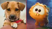 ¡'Vaguito' SUPERÓ a 'Garfield: fuera de casa'!: película peruana es la más vista a nivel nacional