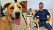 Alex Hidalgo, director de ‘Vaguito’, revela si se donará la taquilla de cinta a albergue de animales
