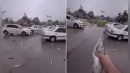 Así fue la increíble ‘lluvia’ de peces que cayó sobre Irán: ¿a qué se debe este inusual fenómeno?