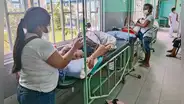 Dengue: van 199 muertos, pero el Minsa dice que hay una tendencia a la baja