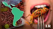Uno de los países que consume más insectos en el mundo está en Latinoamérica: comen gusanos, moscos y hormigas