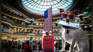 Conoce las nuevas restricciones para llevar un perro a Estados Unidos desde agosto de 2024