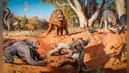Este animal es más antiguo que los dinosaurios y sigue vivo: es terrorífico y habita en Latinoamérica