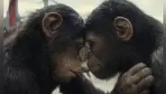 ¿‘El planeta de los simios: nuevo reino’ tiene escenas poscréditos?
