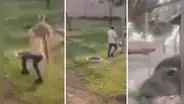 Maltratan animales en el Parque de las Leyendas: transmitieron 'reto' de TikTok en vivo