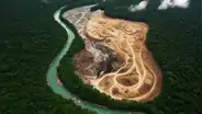 Minería de oro al sur del Perú: deforestación equivale a 43 mil campos de fútbol en tres años
