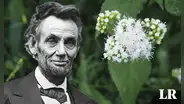La planta que envenenó a la mamá de uno de los presidentes de Estados Unidos tras beber leche