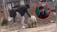 Joven mata a oveja y justifica el acto como un “mal día”: vecinos piden condena por maltrato animal