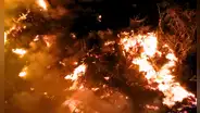 Ate: reportan incendio de grandes proporciones en fábrica papelera