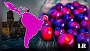 La fruta 'cereza de los indios', originaria de Norteamérica, es un tesoro nutricional que previene el párkinson y alzheimer