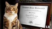 La única universidad de Estados Unidos que otorgó un título honorífico a un gato: "Doctor en Literatura"