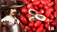 La 'fruta milagrosa' que convierte los sabores ácidos en dulces, descubierta por europeos en la época colonial