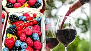 Científicos analizan al vino como posible superalimento: el fruto clave se cultiva en Sudamérica