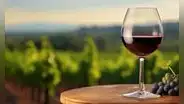 Científicos encuentran en una fruta cultivada en Sudamérica al próximo superalimento: ¡Ahora en vino!