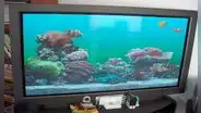 ¿Qué sucedió con los televisores plasma que fueron todo un boom y que ahora nadie recuerda?