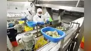 Exportaciones agropecuarias siguen a tope: aumentaron 10,8% en el primer trimestre