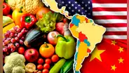 El país de América Latina que consume más frutas y verduras en todo el mundo: supera a China y Estados Unidos