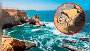 Pescador fallece tras caer por acantilado en Reserva Nacional de Paracas