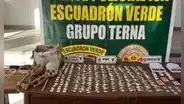 Ica: hallan restos óseos humanos en una vivienda de traficantes de droga