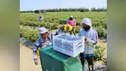 Agroindustria registra récord histórico de 1.499 empresas exportadoras al primer trimestre