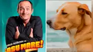 No es ‘Asu mare 1’ ni ‘Vaguito’: está es la película peruana más taquillera de toda la historia