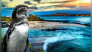 Los 5 países en Sudamérica con más biodiversidad del mundo, según la UNESCO