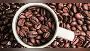 El país con mayor producción de café está en Sudamérica: no es Colombia y produce 70 millones de sacos al año
