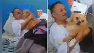 Perrita se camufló para ver a su dueño en hospital de Perú y dicen: "Son medicina para el alma"