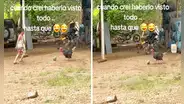 Pavo sorprende en TikTok al jugar fútbol con niño y usuarios bromean: “Entrenando para el Mundial”